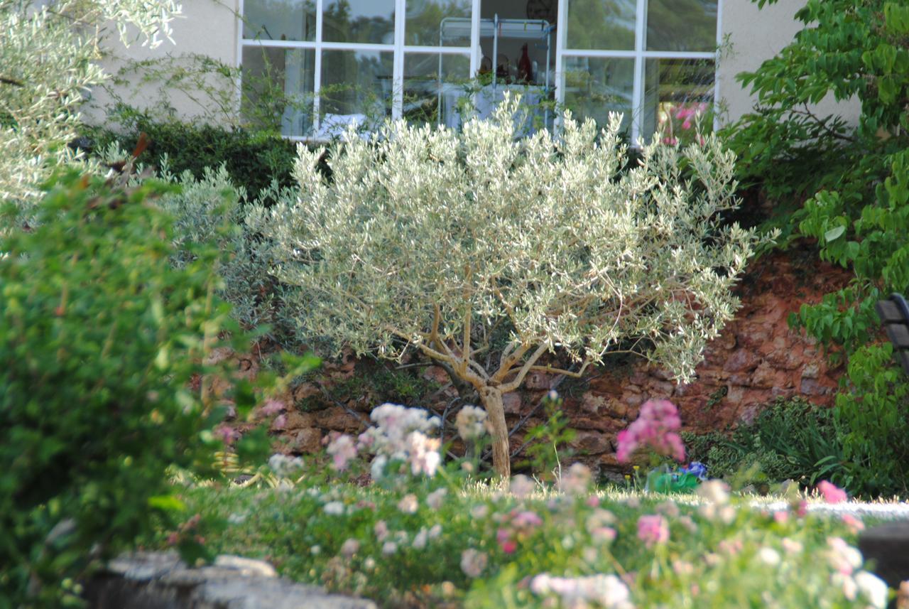 B&B La Badelle Gordes Εξωτερικό φωτογραφία